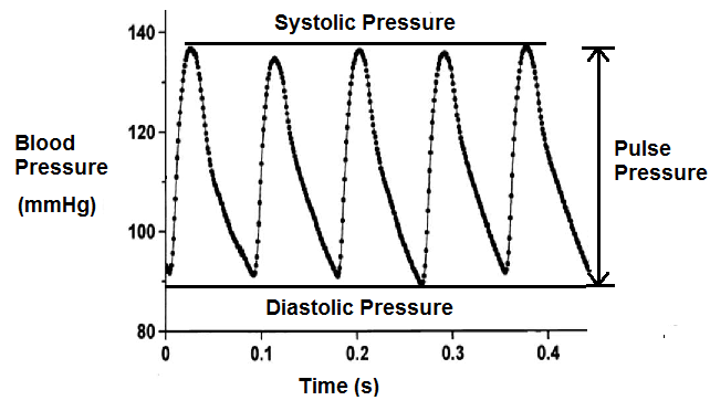 pulse pressure2