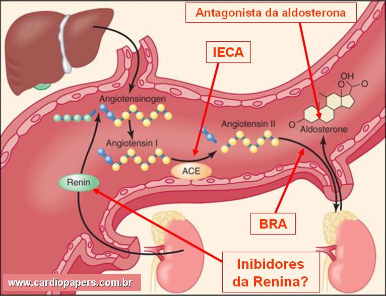 Bloqueadores de receptores da angiotensina (BRA) - Enfermagem Ilustrada